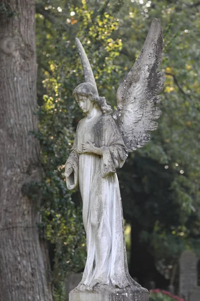 Escultura Ángel Cementerio Municipal Amsterdam Países Bajos — Foto de Stock