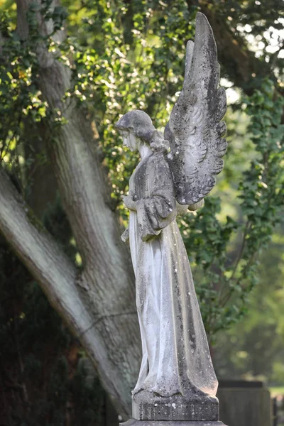 Engelsskulptur Auf Dem Städtischen Friedhof Amsterdam Niederlande — Stockfoto