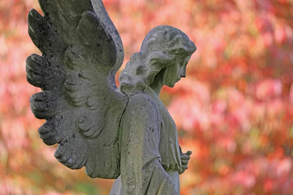 Widok Boku Posąg Anioła Jesień Miejski Cmentarz Amsterdam Holandia — Zdjęcie stockowe