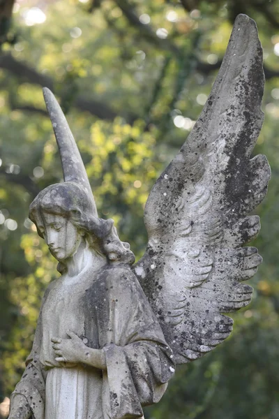 Standbeeld Van Engel Gemeentelijke Begraafplaats Amsterdam Nederland — Stockfoto