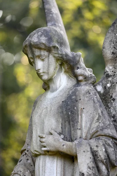 Estatua Del Ángel Cementerio Municipal Amsterdam Países Bajos — Foto de Stock