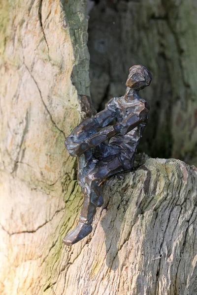 荷兰阿姆斯特丹市政公墓干树皮上的小雕塑特写镜头 — 图库照片