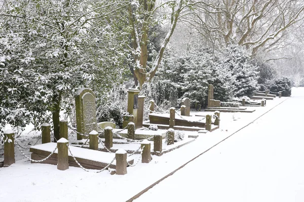 Gravestones Wintertime Municipal Cemetery Amsterdam Netherlands — Stock Photo, Image