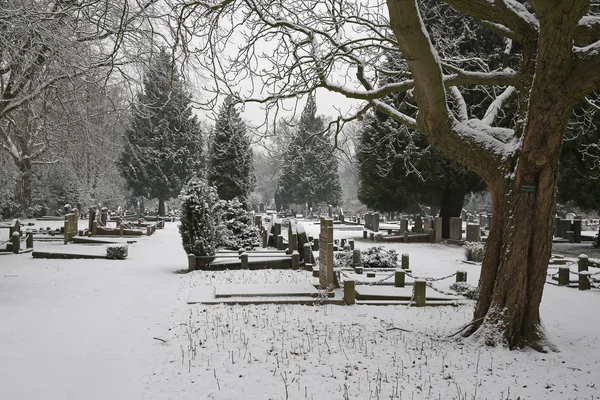 Grafstenen Winter Gemeentelijke Begraafplaats Amsterdam Nederland — Stockfoto