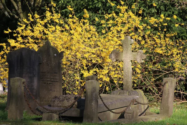 Lápidas Cementerio Municipal Amsterdam Países Bajos —  Fotos de Stock