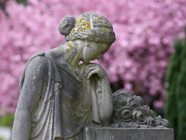 Statua Del Dolore Cimitero Comunale Amsterdam Primavera Paesi Bassi — Foto Stock