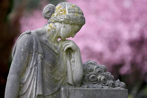 Statua Del Dolore Cimitero Comunale Amsterdam Primavera Paesi Bassi — Foto Stock