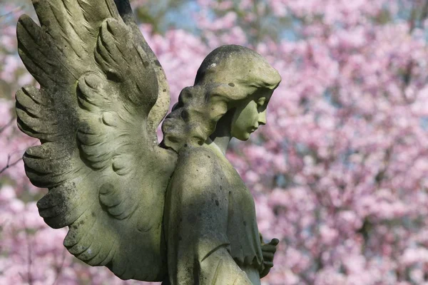 Boční Pohled Sochu Anděla Městském Hřbitově Amsterdamu Nizozemsko — Stock fotografie