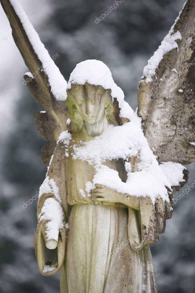 statue of angel covered with snow at municipal cemetery in Amsterdam, The Netherlands 