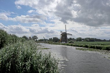 Hoog- en Groenland. Hollanda 'da nehir ve ormanlı doğa
