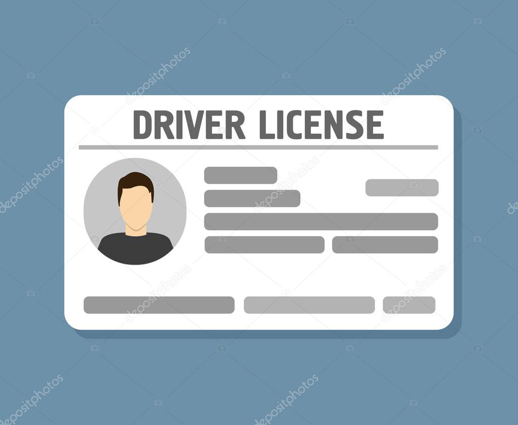 Car driver license identification with photo, vector