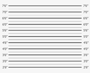 Polis teşhisi ya da sabıka kaydı