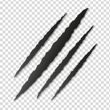 Canavar gözyaşı pençe sıfırdan işareti. Vektör çizim.