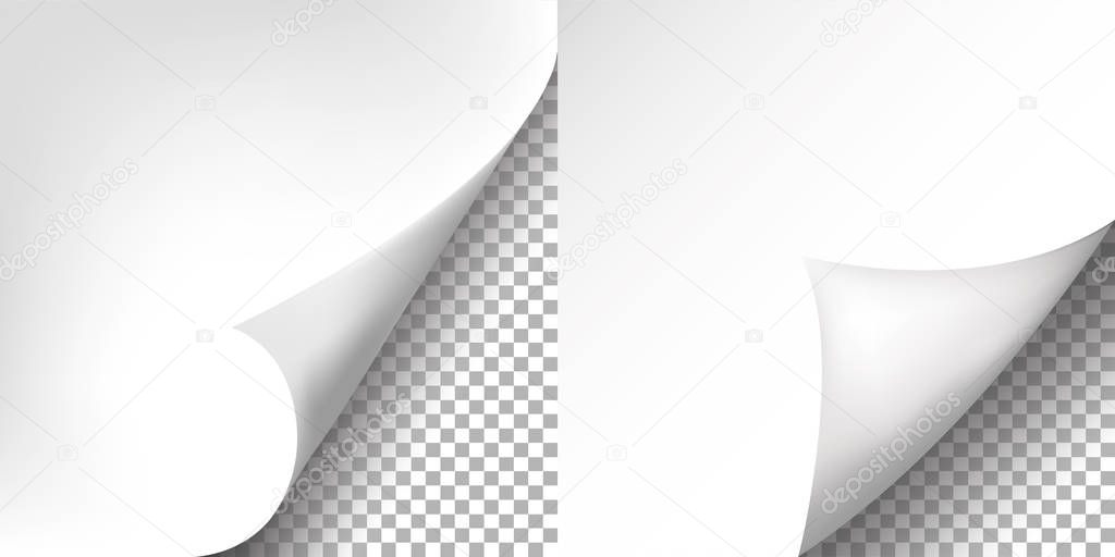 Page curl with shadow on blank sheet of paper. For advertising and promotional isolated on transparent background. Vector illustration