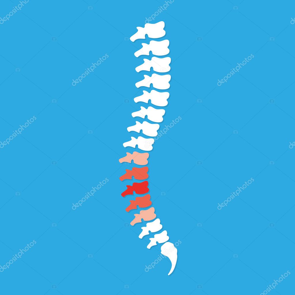 Vector human spine icon isolated silhouette illustration.