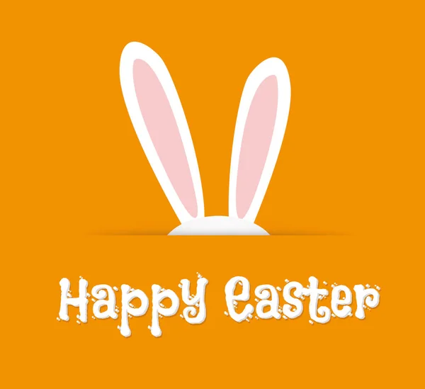 Easter Rabbit Easter Bunny — Stock Vector