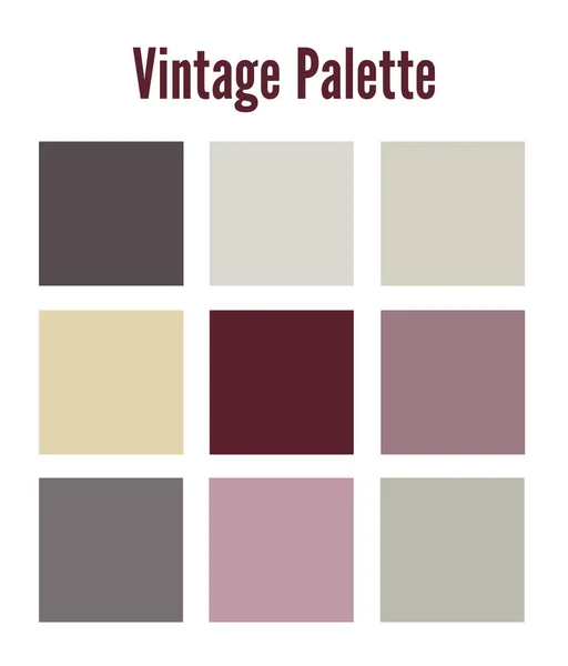 Vintage Palette Retro Color Sample Vector — Stock Vector