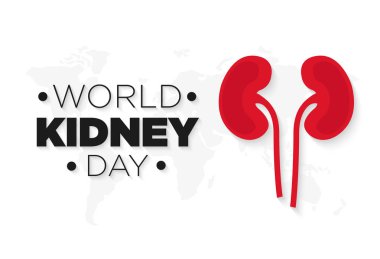 Böbrek vektör simgesi. Dünya böbrek günü çizimler.