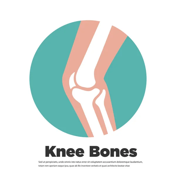 Knie Pictogram Platte Vector — Stockvector