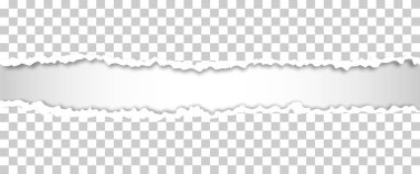 Yırtık kağıt kenarları, vektör çizimi