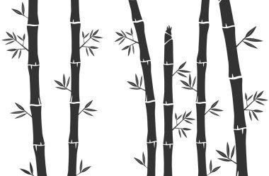 Bambu ağacı ve Bambu çim siluet arka plan vektör