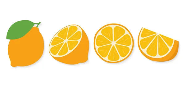 Πορτοκαλί φέτα, μπροστινή όψη από κομμένο πορτοκαλί. Απεικόνιση διανυσματικών φορέων — Διανυσματικό Αρχείο