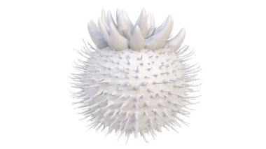 Beyaz arkaplanda 3 boyutlu bir kürk görüntüsü