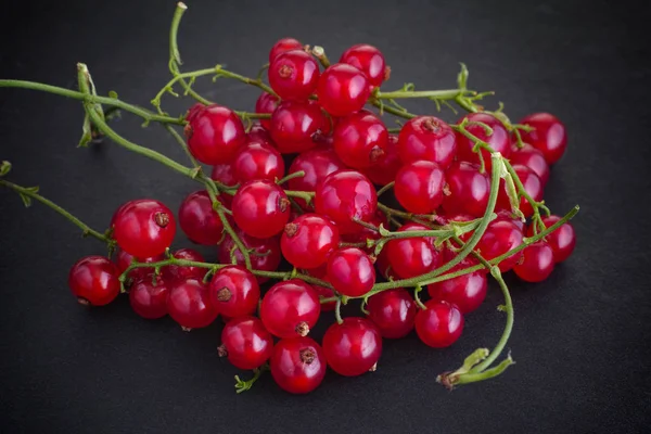 Red Currant Black Background Close — Stock Photo, Image