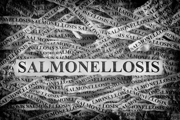 Salmonelloza Podartego Papieru Napisem Salmonelloza Obrazek Koncepcyjny Czarno Biały Bliska — Zdjęcie stockowe