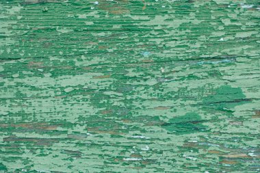 Eski yeşil ahşap arka plan dokusu