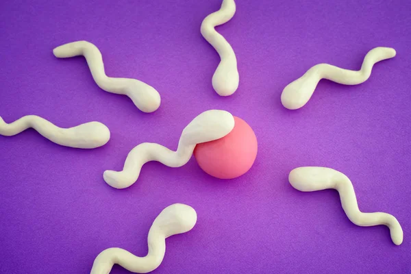 Сперматозоиды собираются оплодотворить яйцеклетку — стоковое фото