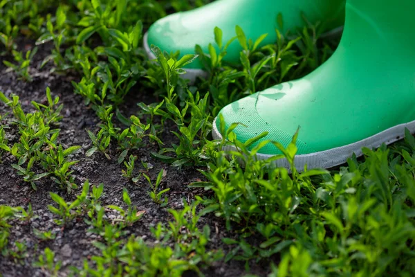 Pessoa Botas Grama Verde Fechar — Fotografia de Stock