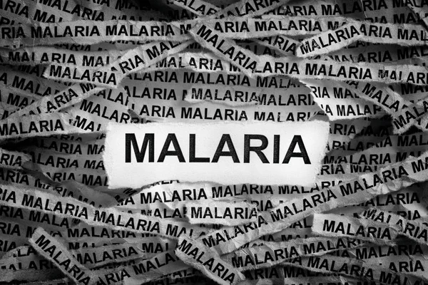 Malaria Trozos Papel Rotos Con Palabra Malaria Imagen Conceptual Blanco — Foto de Stock