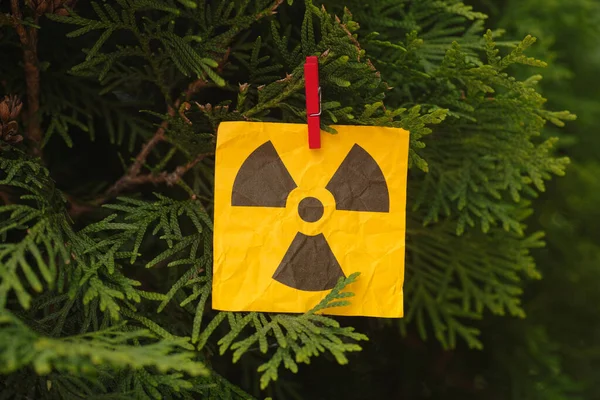 Ein Strahlenwarnschild Hängt Einem Baum Nahaufnahme — Stockfoto