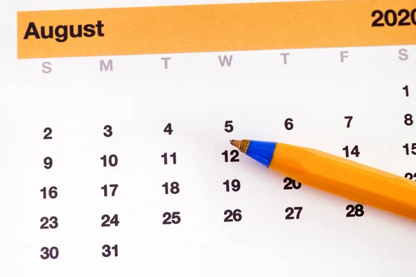 Ballpoint Pen Lying Calendar Showing August Month Close — Stock Photo, Image