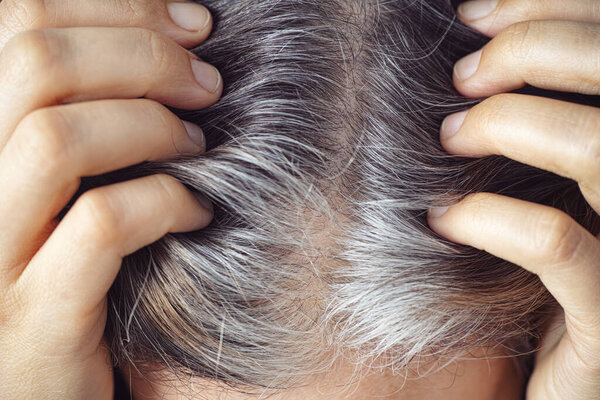 A woman showing her gray hair roots. Going gray concept. Close up. 