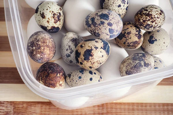 Plastik Bir Kabın Içinde Haşlanmış Bıldırcın Tavuk Yumurtası Kapat — Stok fotoğraf