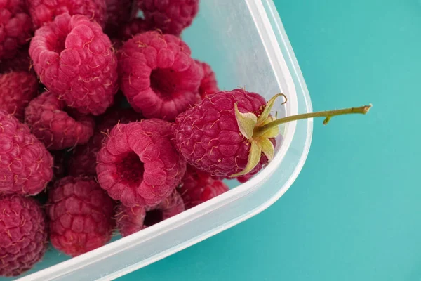 Organic Raspberries Plastic Container Close — Stock Photo, Image