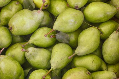 Çiğ organik yeşil armutlar. Kapat..