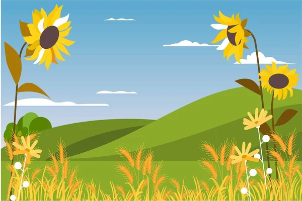 Decorazione Illustrazione Girasoli Grano — Vettoriale Stock