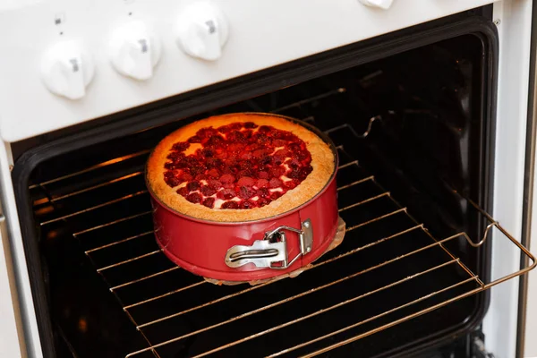 Homemade cheesecake with raspberry cooked in the domestic oven. Shallow focus.