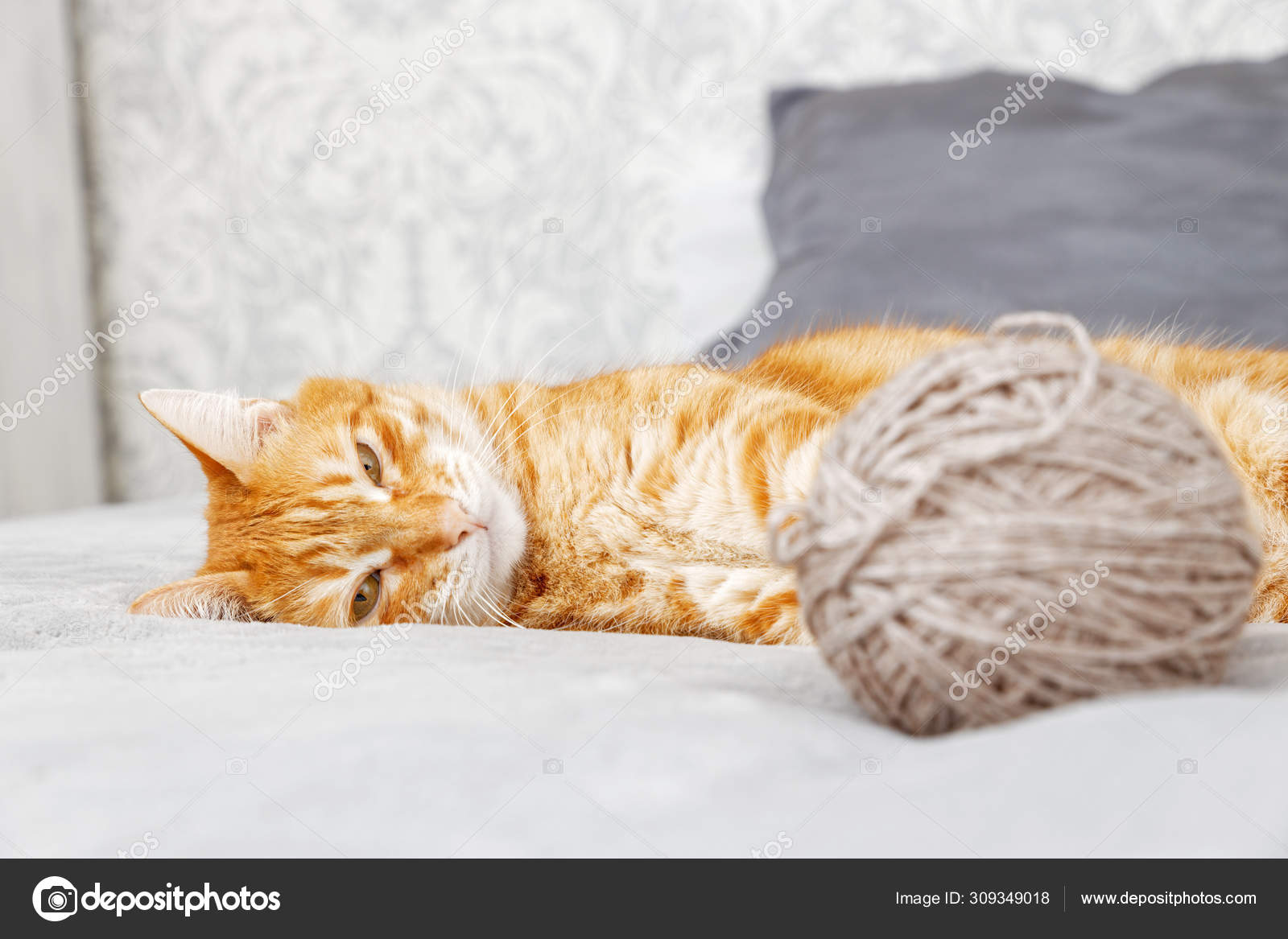 Chat Orange Jouant Avec Une Boule Fil Couche Sur Lit Image Libre De Droit Par Mark Ka C Chat Orange Jouant Avec Une Boule Fil Couche Sur Lit Image Libre De Droit Par Mark Ka C
