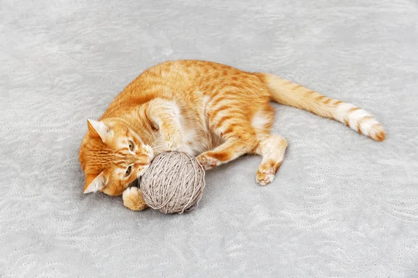 Orange cat playing with a ball of yarn lying on the bed. Shallow focus.