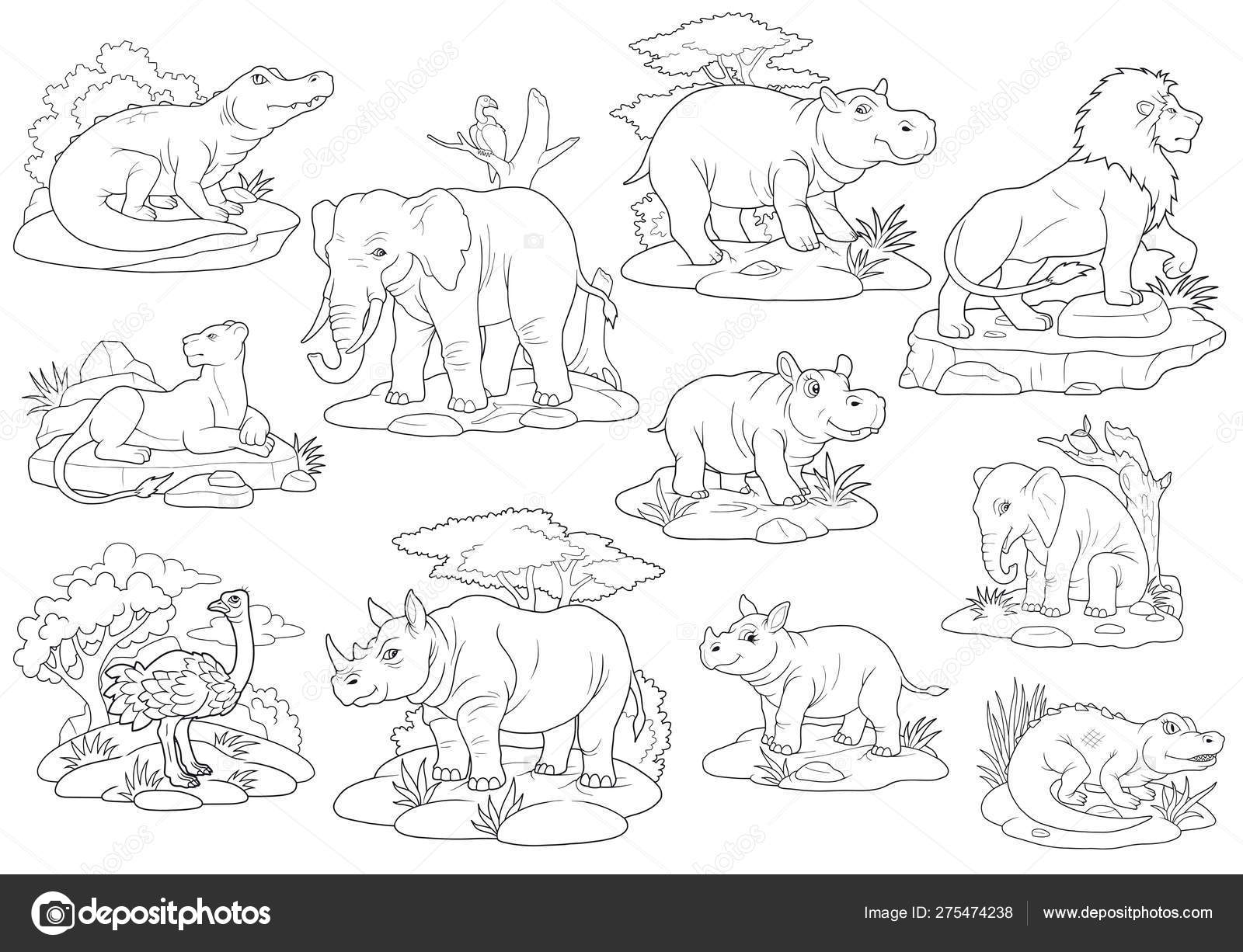 Download Wild Animals Coloring Book Set Of Images Stock Photo By C Fargon 275474238