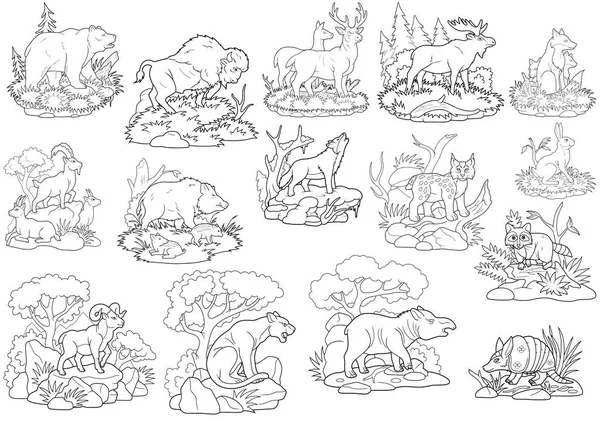 wild animals coloring book image set
