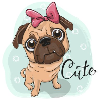 Tebrik kartı Pug köpek kız mavi bir arka plan üzerinde