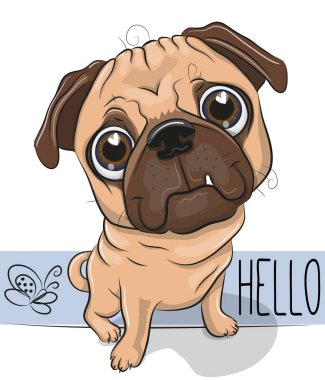 Sevimli çizgi film Pug köpek beyaz bir arka plan üzerinde izole