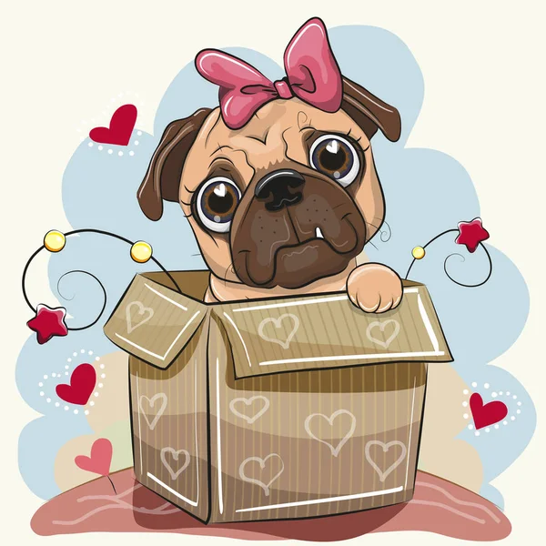 Birthday Card Cute Cartoon Pug Dog Girl Box — Stock Vector