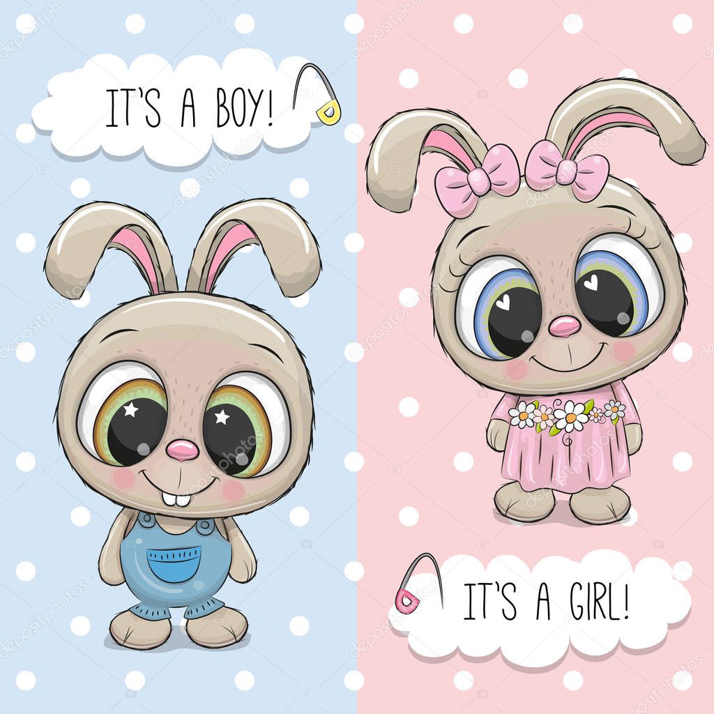 Baby Shower greeting card with Cute Rabbits boy and girl