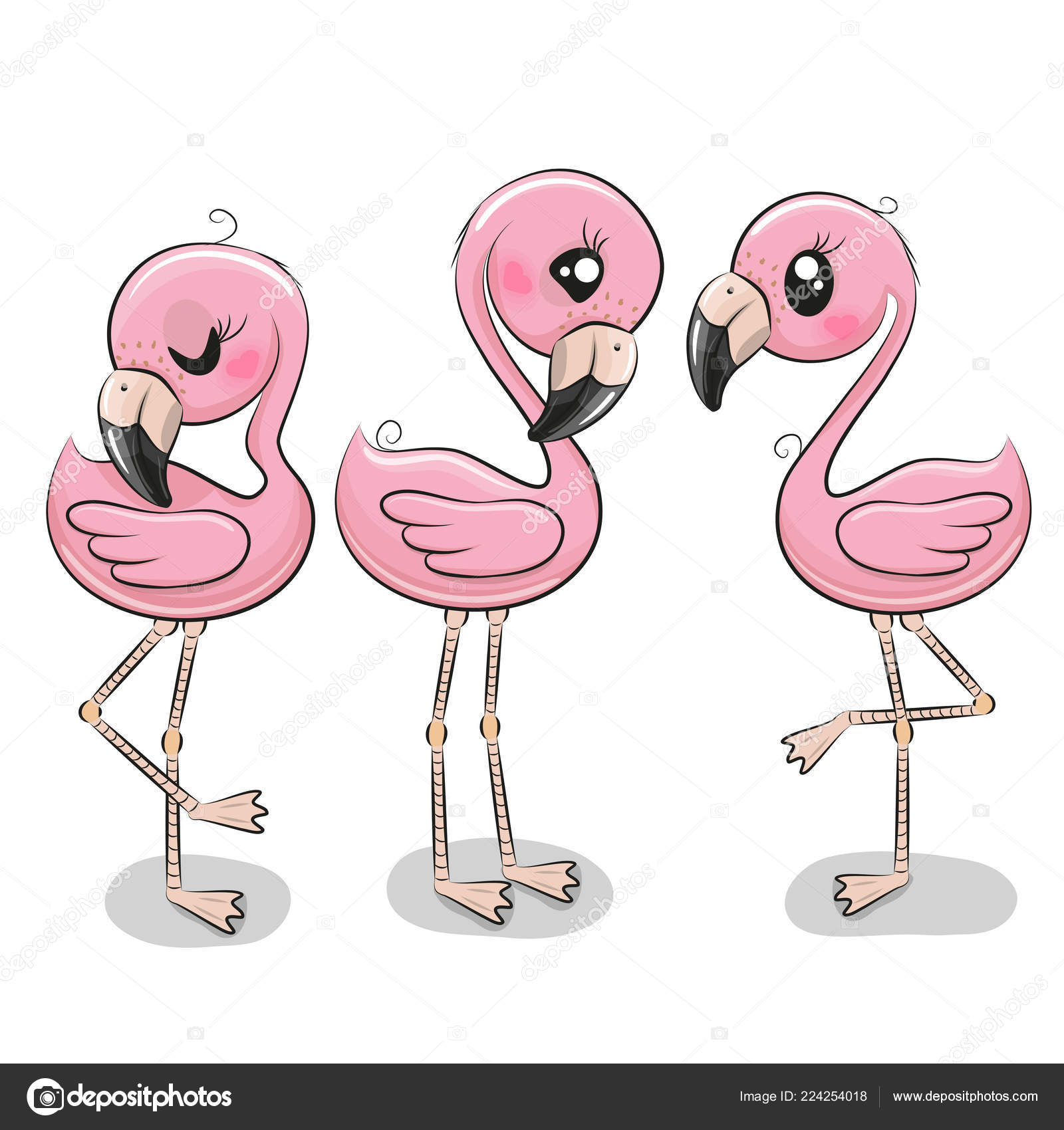 Set Three Cute Cartoon Flamingos White Background Stock Vector Image by  ©Reginast777 #224254018